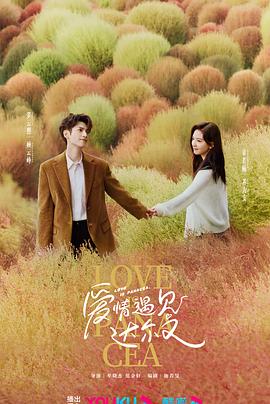 衢州网站优化哪家强些呀